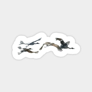 Sandhill Crane Watercolor Sticker